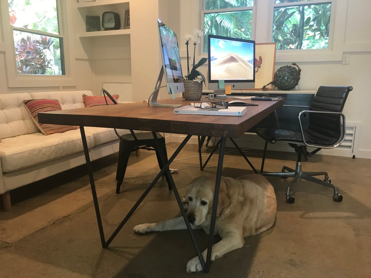 The Home Office