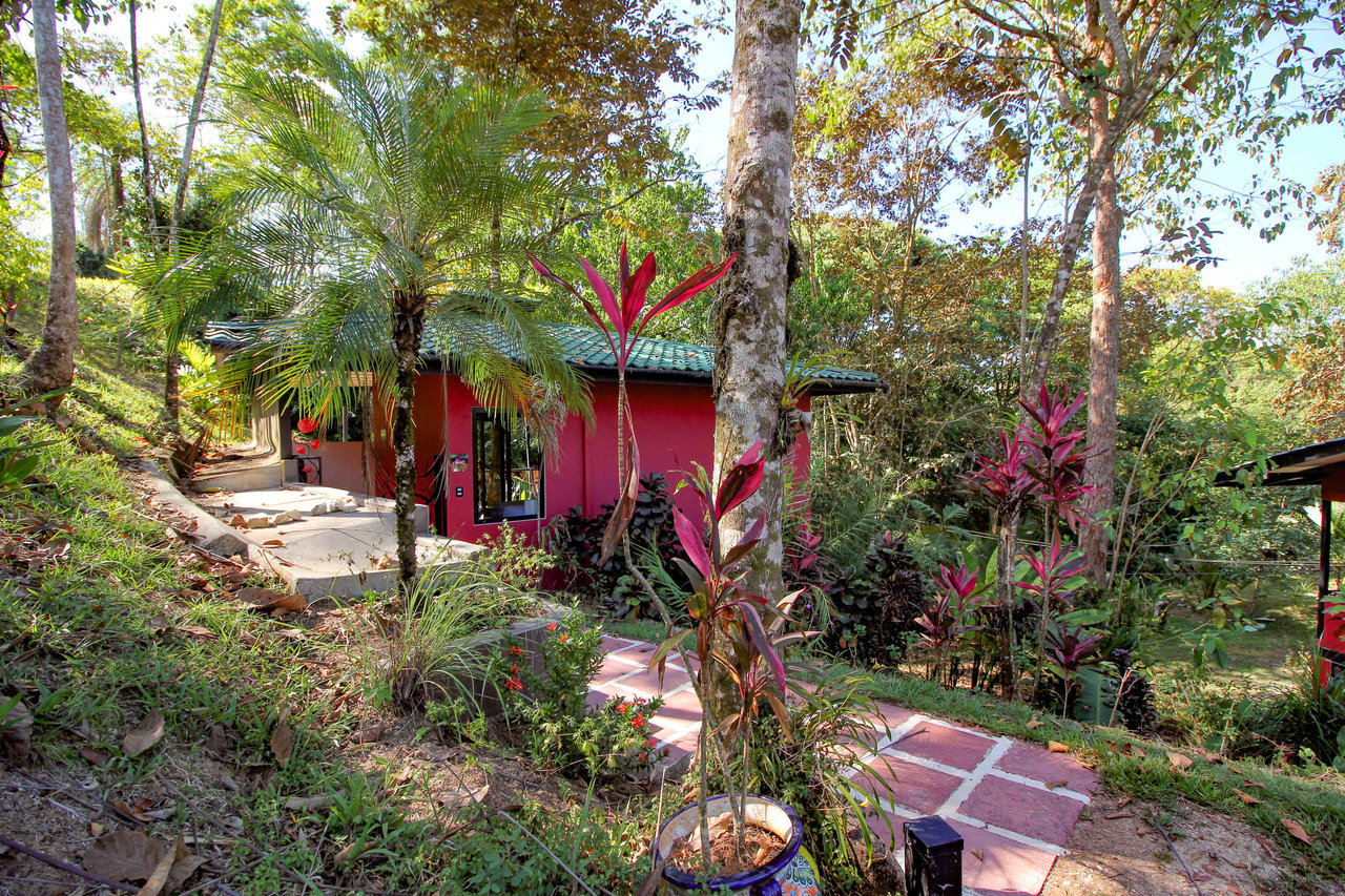 3 Cabins, A restaurant, A 3 Bed House And Multiple Plantels In The Heart Of Ojochal