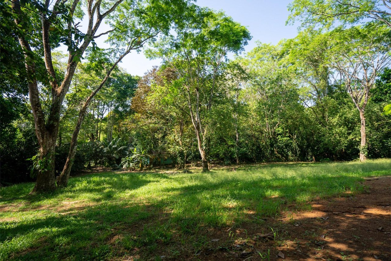 Private Ocean View Development Lot, Dominical, Puntarenas