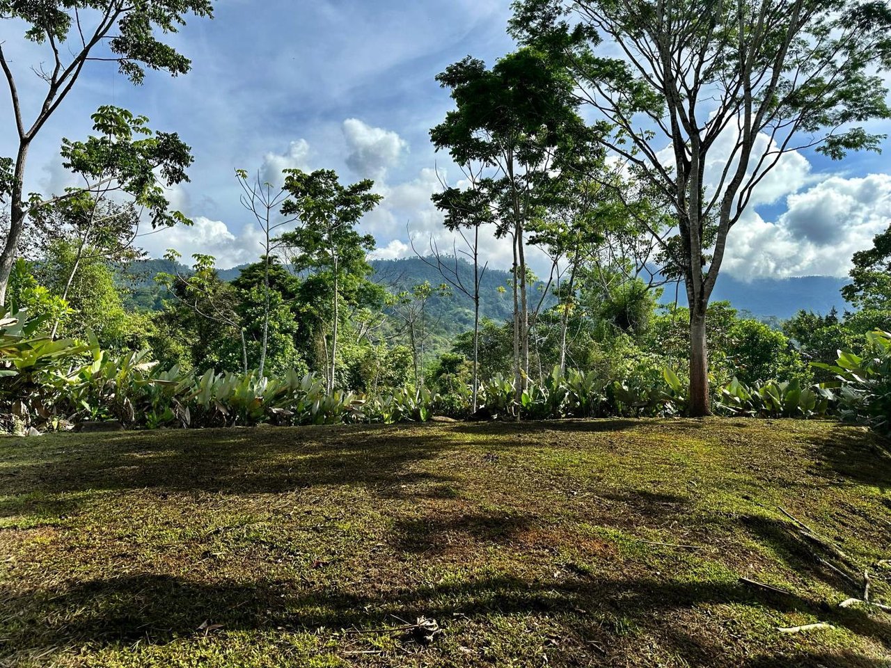 Uvita, Jungle Retreat Center on the Uvita River. Private and 17 Acres