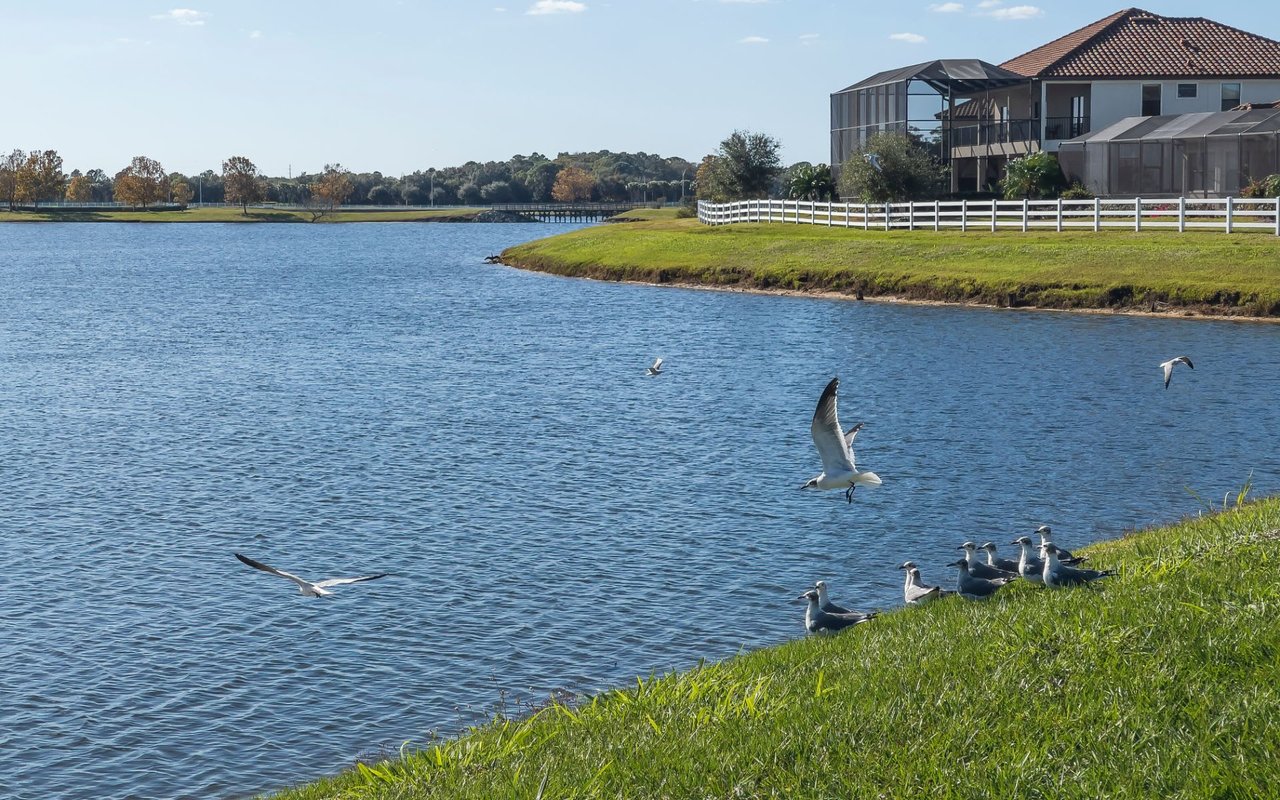 Lakewood Ranch