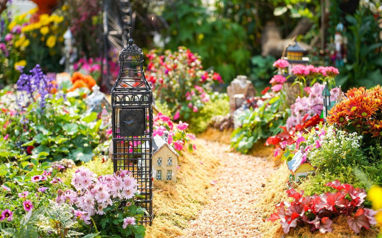Fairy Gardens: What They Are & How to Build Them