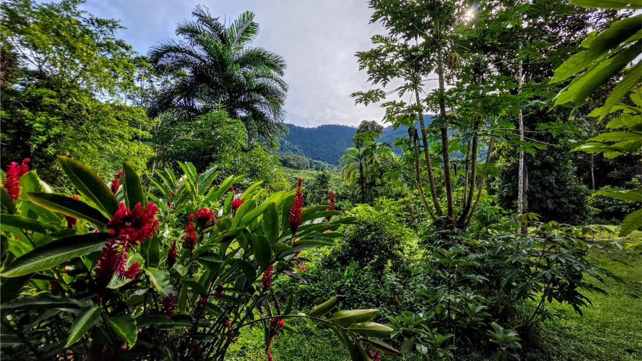 Rainforest Waterfall Acreage Estate, Dominical, Puntarenas