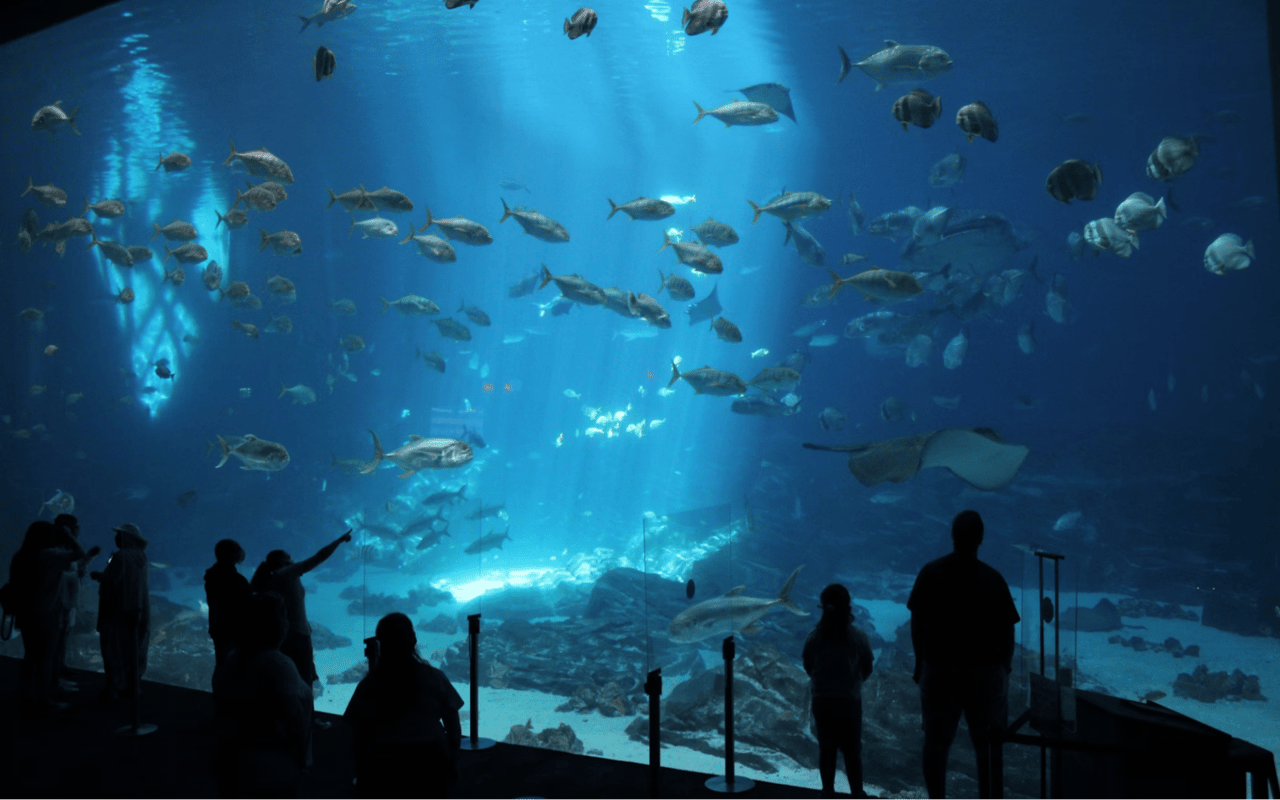 10 Day Trips From Lake Oconee, GA