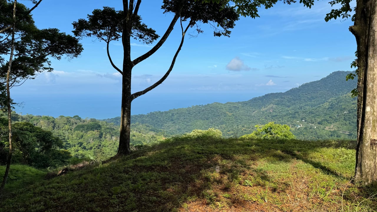 Ocean View Lot in the Exclusive Uvita Mountains. 