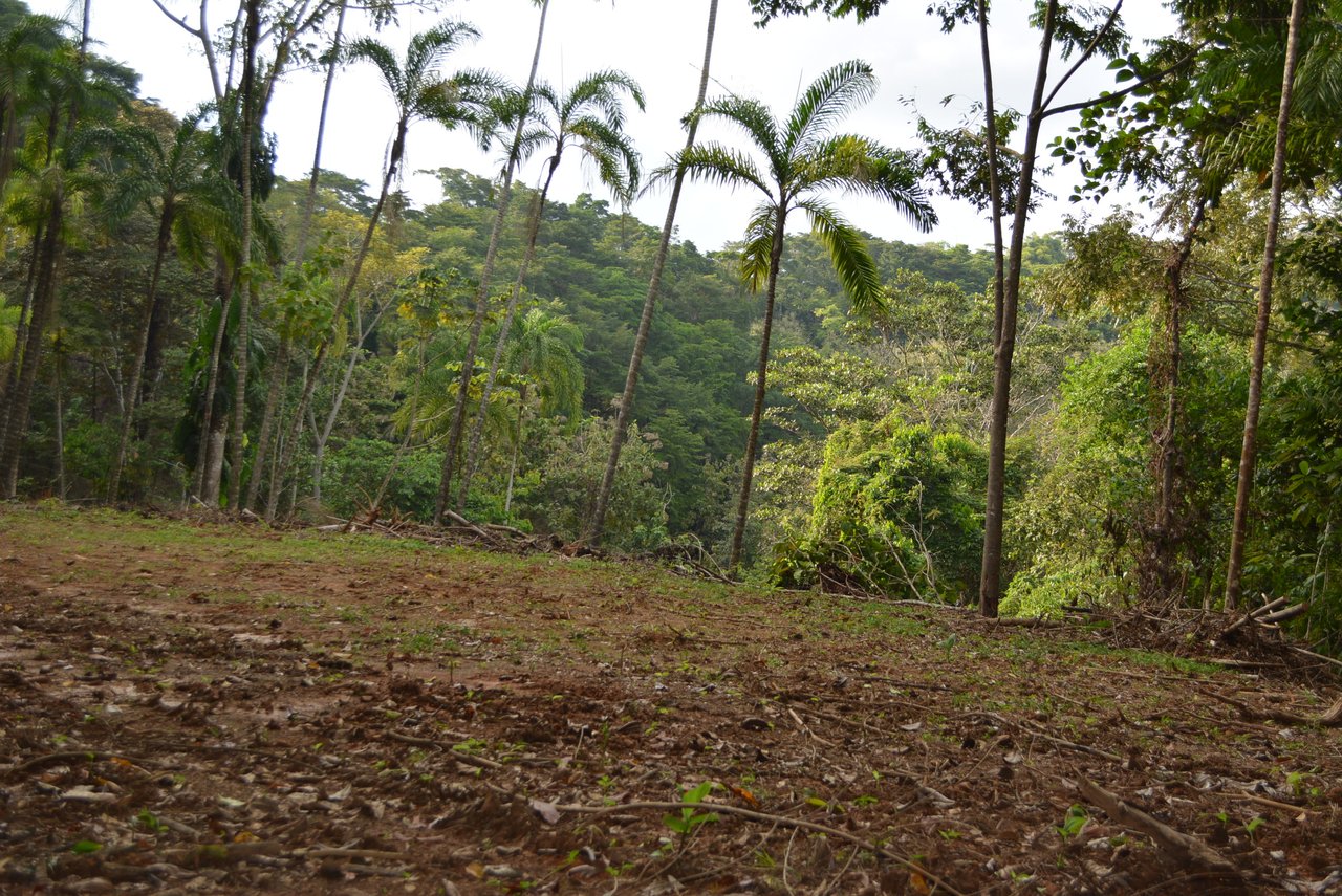 Lagunas 5 Lots 1 Acre+ Lagunas/Dominical