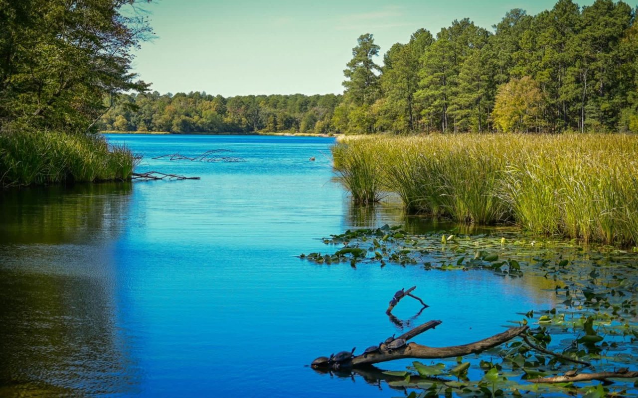 The Top Attractions in Tyler, TX, For Locals or Tourists