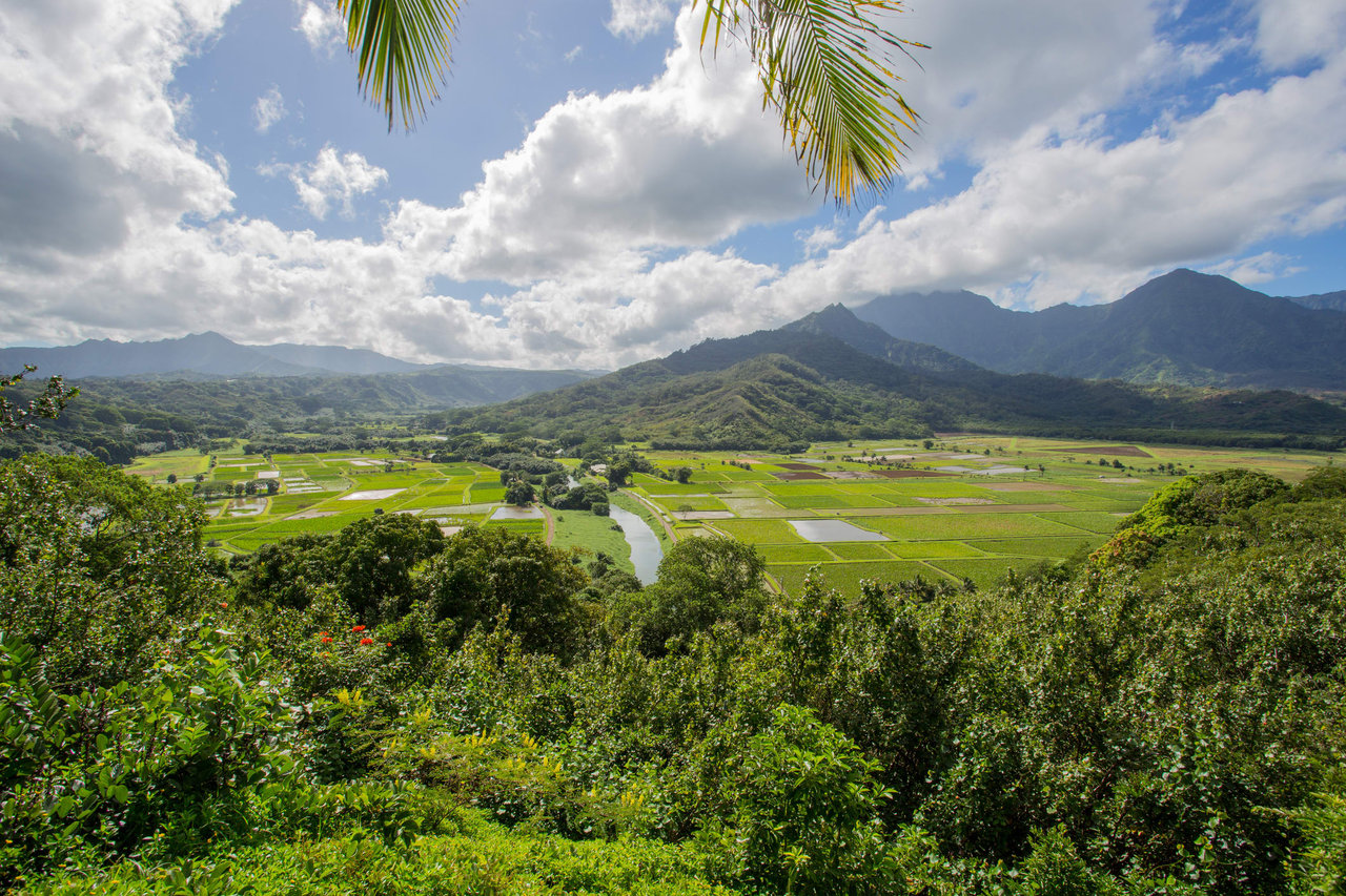 Hanalei National Wildlife Refuge Viewpoint Under Construction