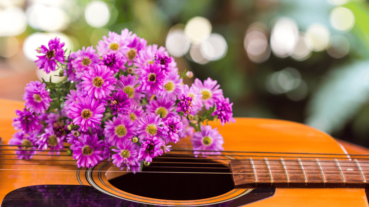 The 25th Annual Hawaiian Slack Key Guitar Festival