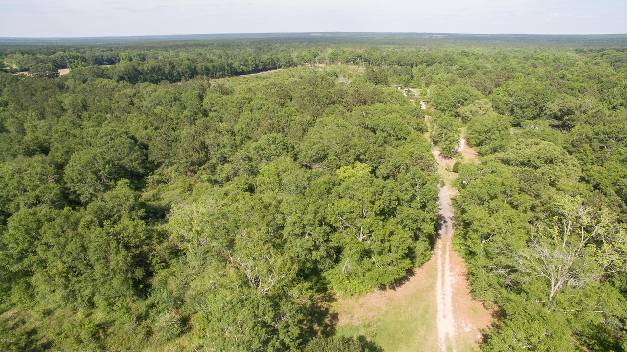 32331 Carey Smith Rd