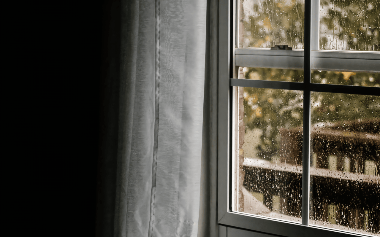 How to Prevent and Remove Mold at Home