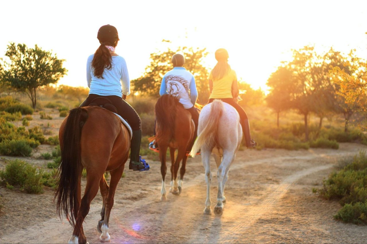 9 Best Family-Friendly Activities in Healdsburg