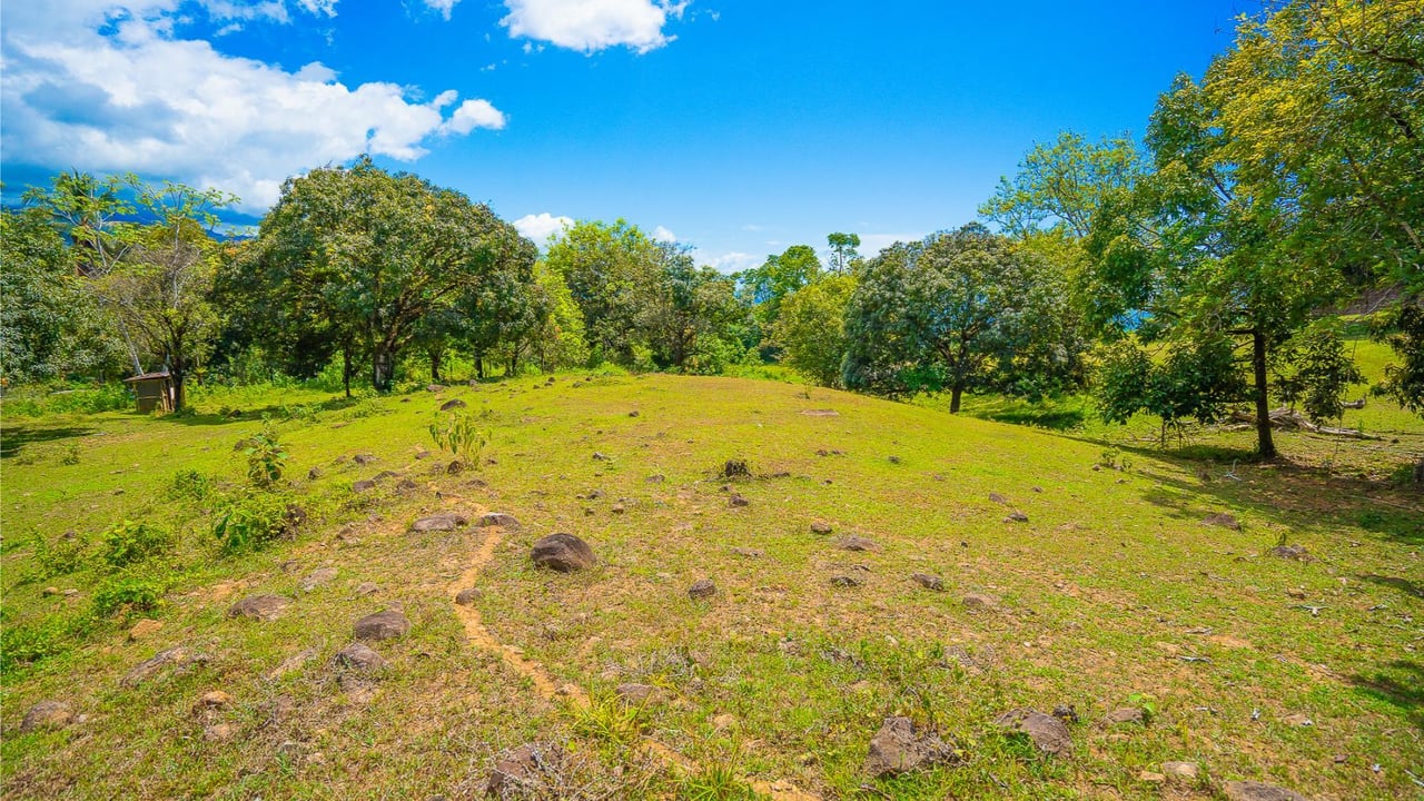 Prime Forest View Lot, Ojochal, Puntarenas