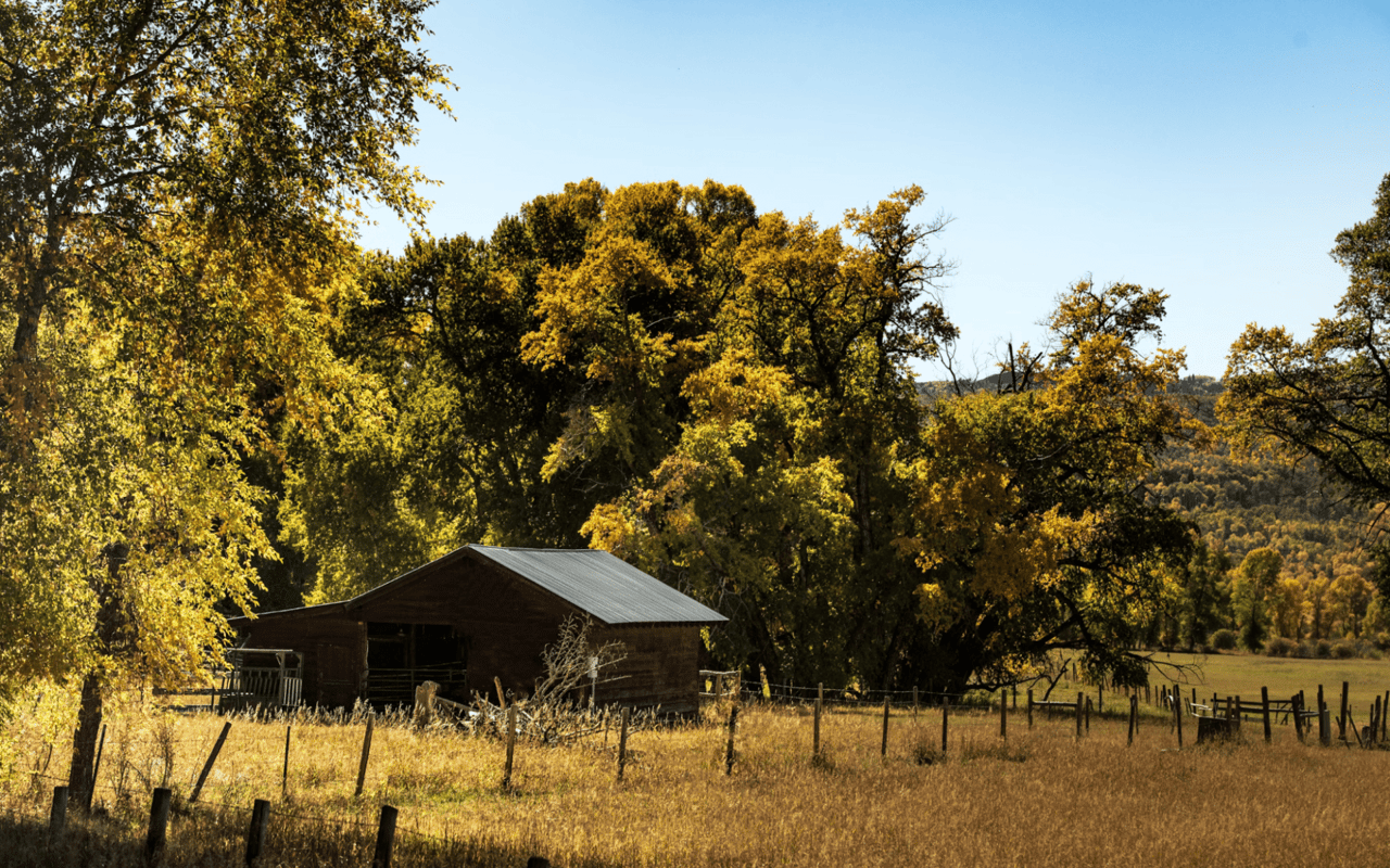 Top 5 Benefits of Owning a Ranch in Castle Rock, CO
