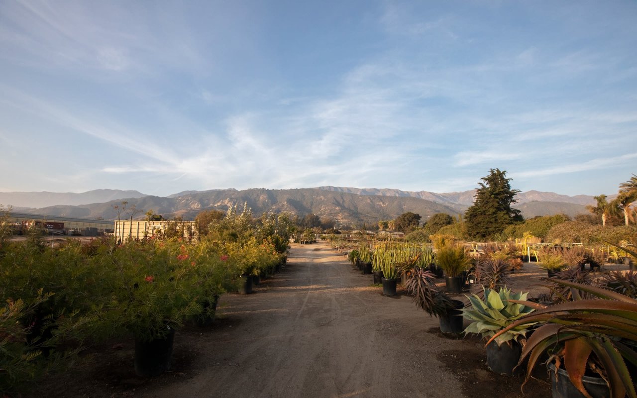 Toro Canyon