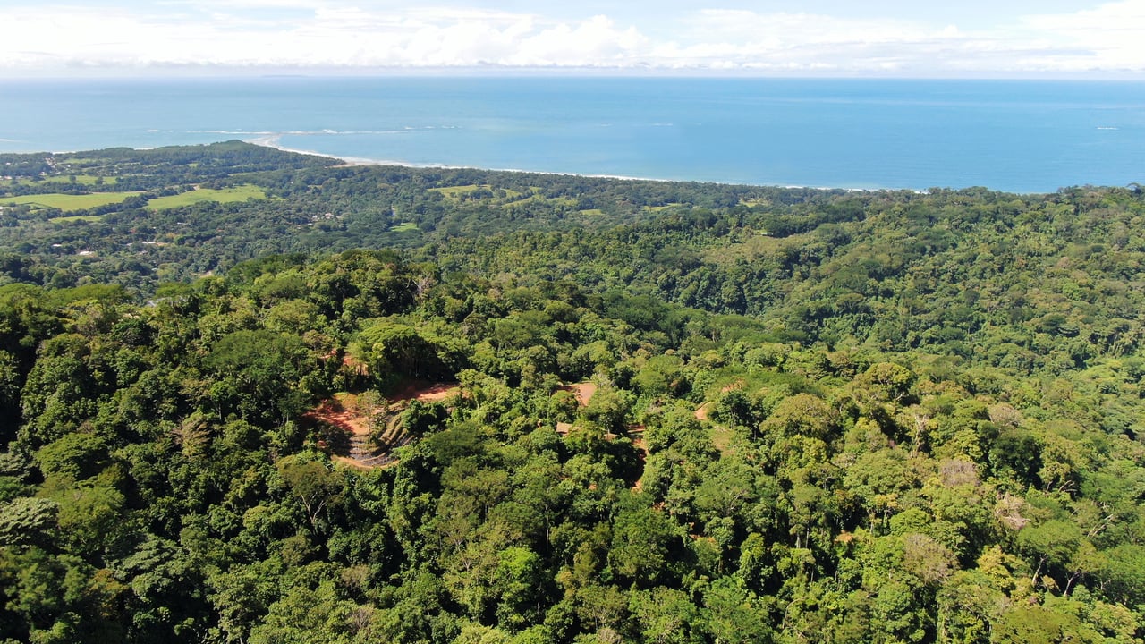 Whale Tail View Development Parcel, Uvita, Puntarenas