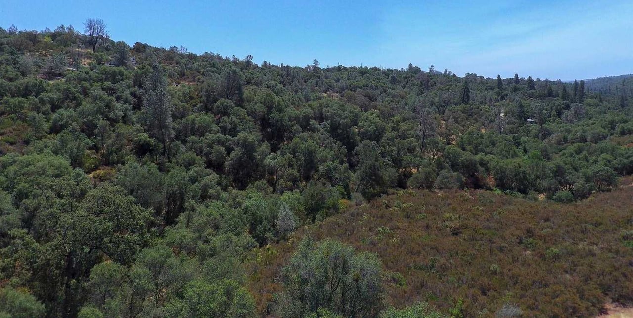 5 ACRES Creekside Drive