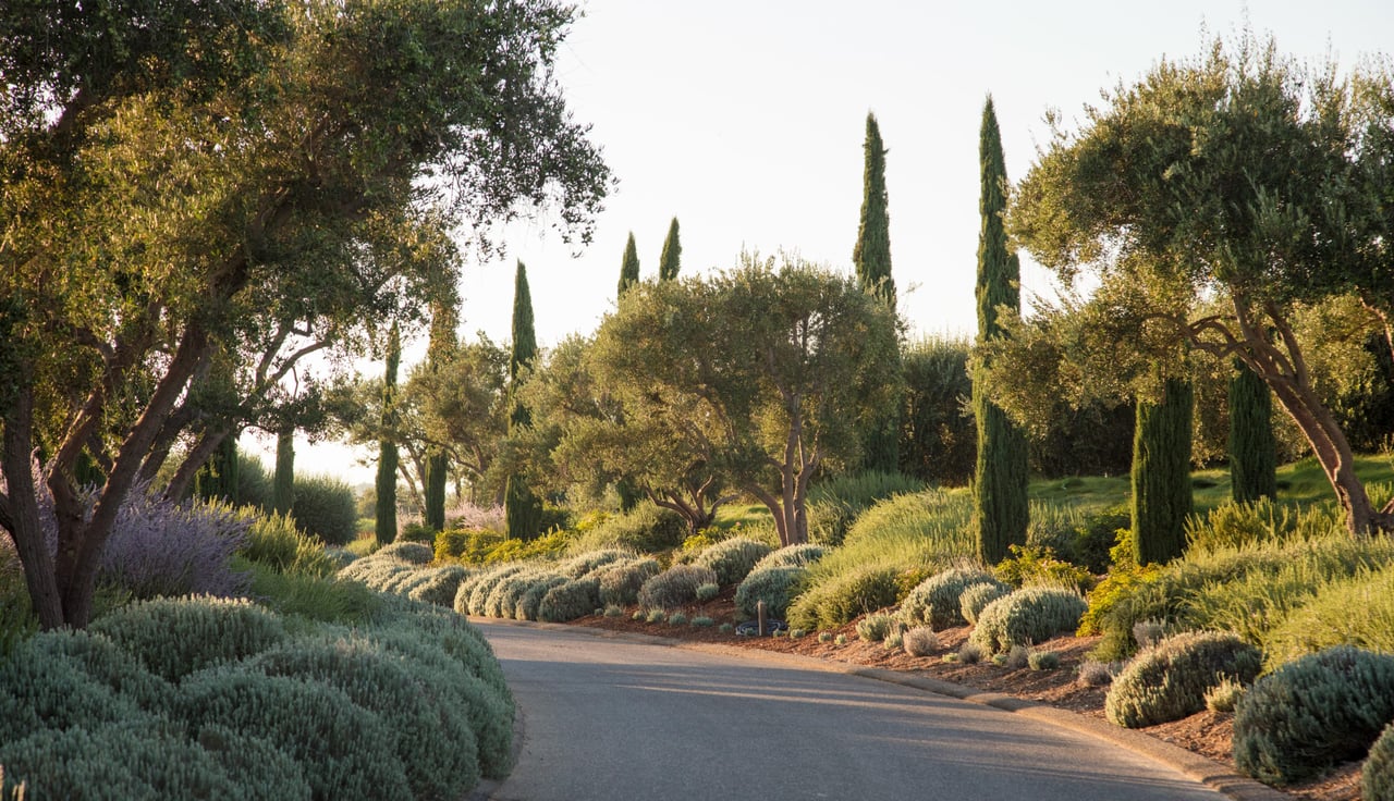 Shangri-la in Santa Ynez