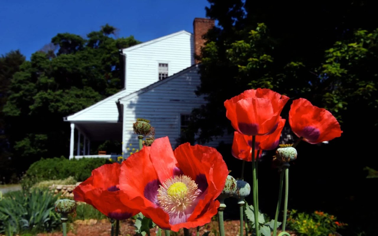 When Is The Best Time To Sell A House in Chapel Hill, NC?