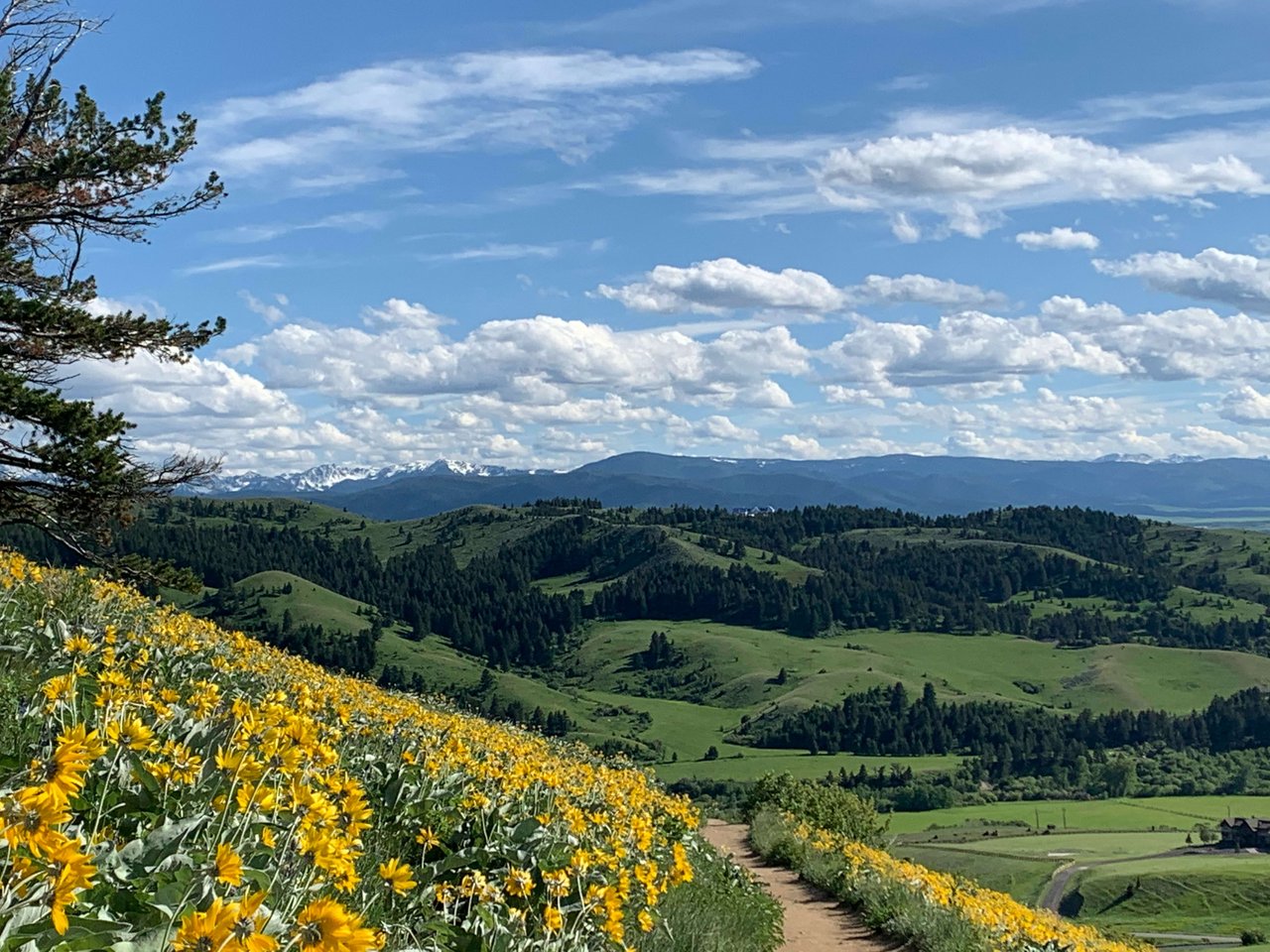 Absarokee, Montana