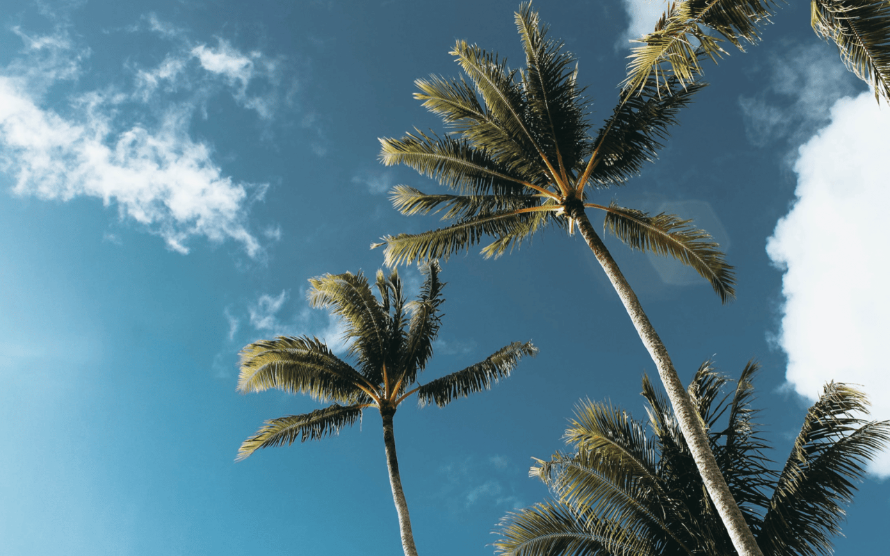 The Bay Sarasota: A New Waterfront Destination for Luxury Living and Recreation