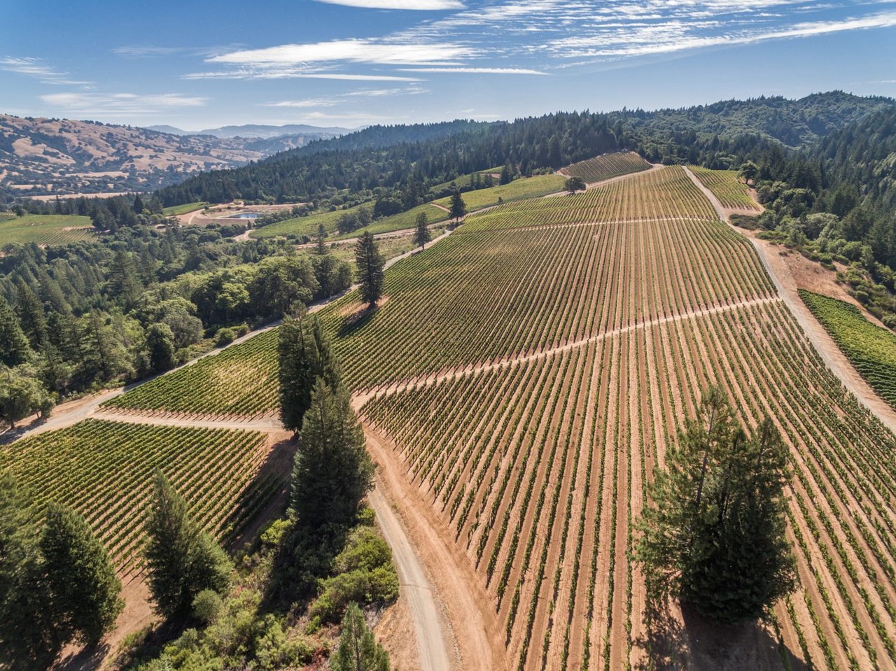 Yorkville Highlands Hillside Vineyard