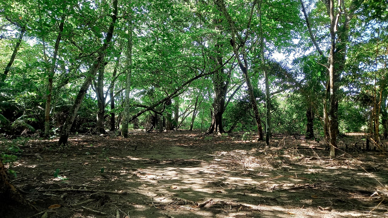 Beachfront Development Acreage, Santa Teresa, Puntarenas