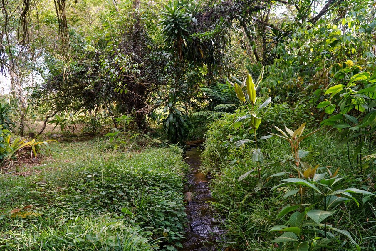 Modern Riverfront Acreage Home, Perez Zeledon, San Jose