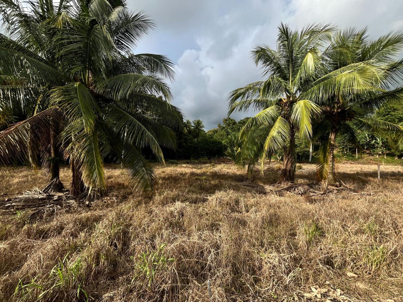 Prime Highway Commercial Lot, Uvita, Puntarenas