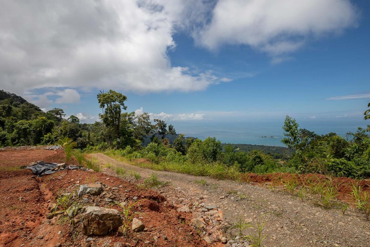 16.5 Acre, First Ridge, Fantastic Ocean Views, Private Swimming Holes