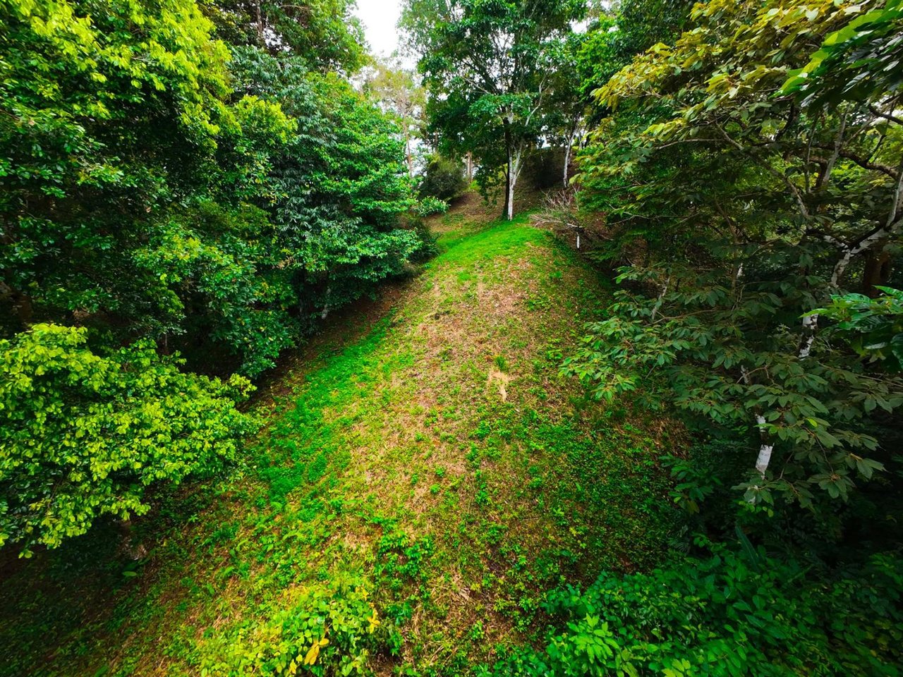 Private Ocean View Development Lot, Ojochal, Puntarenas