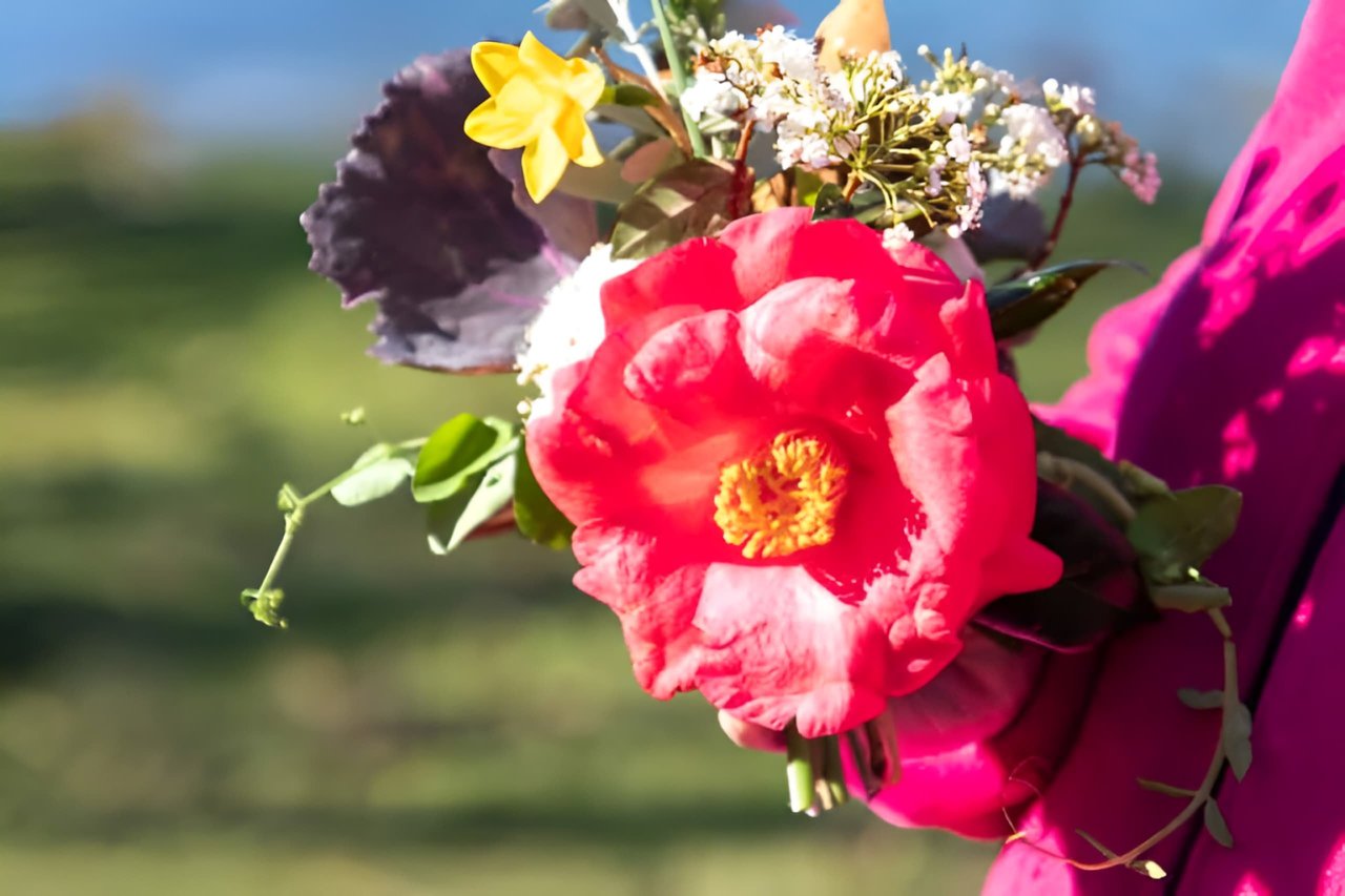 The Spirit of St. Valentine lives at Brookgreen!