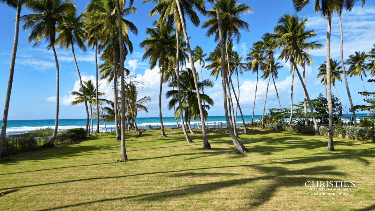 Exclusive Beachfront Lot at Coson Beach, Las Terrenas 