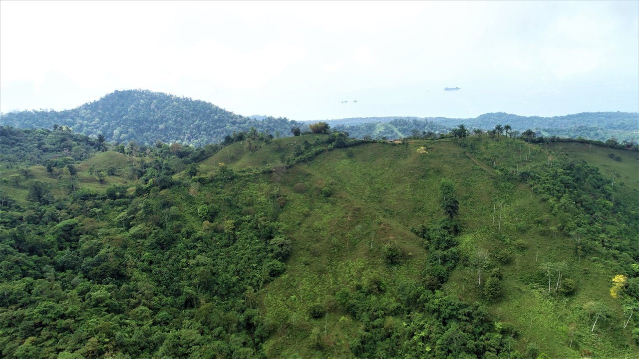 Ocean View Development Farms, Uvita, Puntarenas