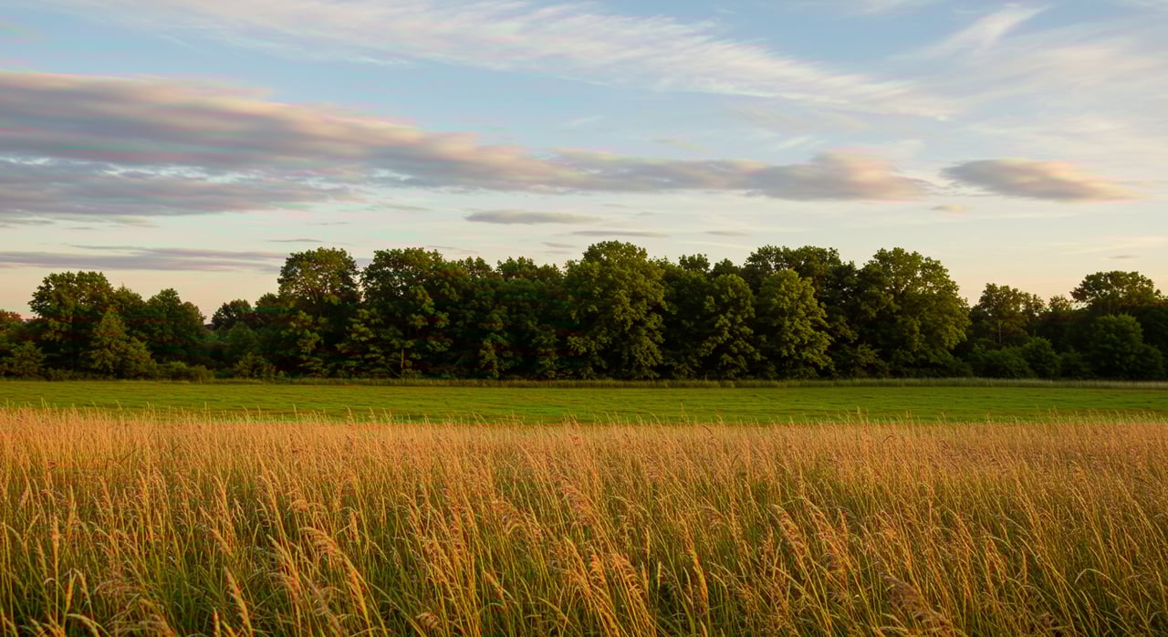Blue Line Stream Restrictions Every Rural Land Buyer Must Know