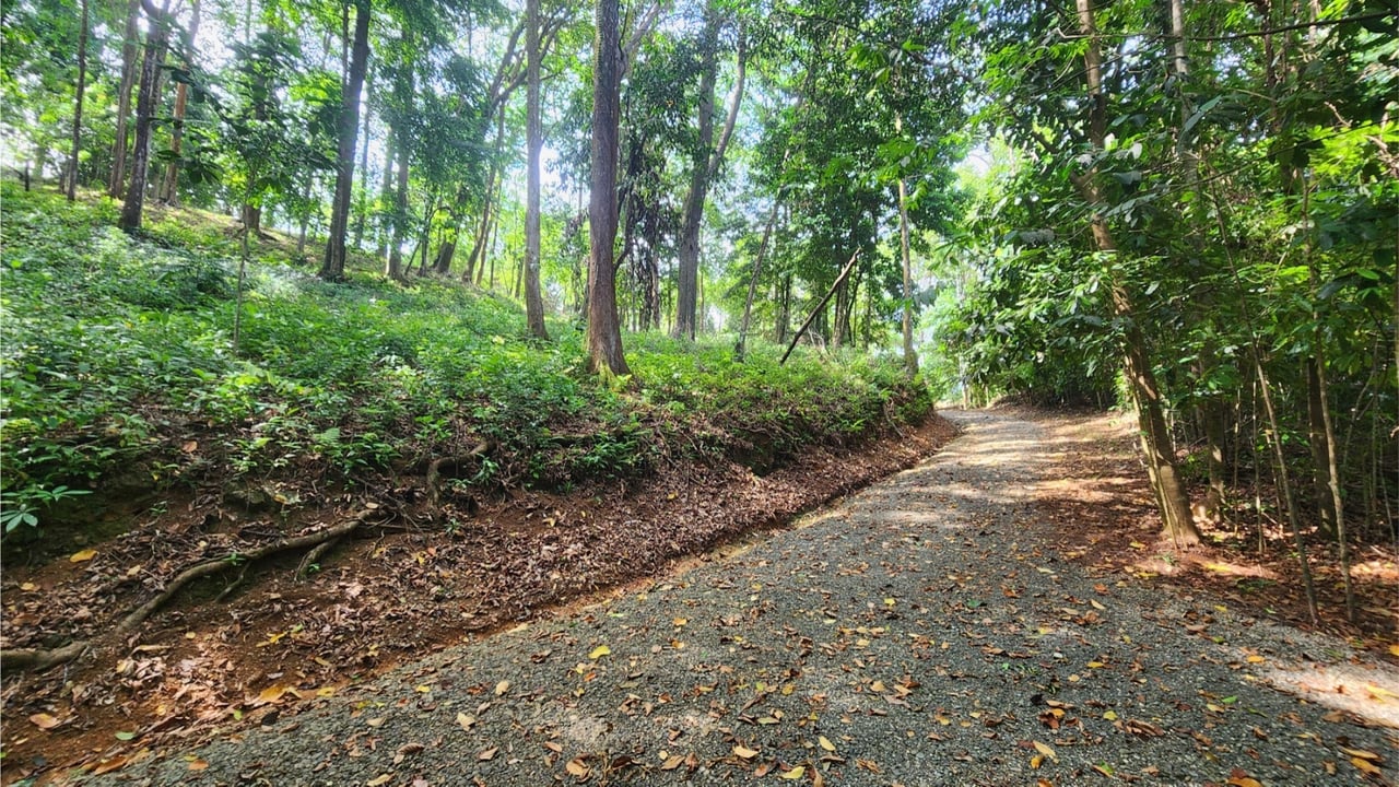 Oceanfront Resort Development Land, Uvita, Puntarenas