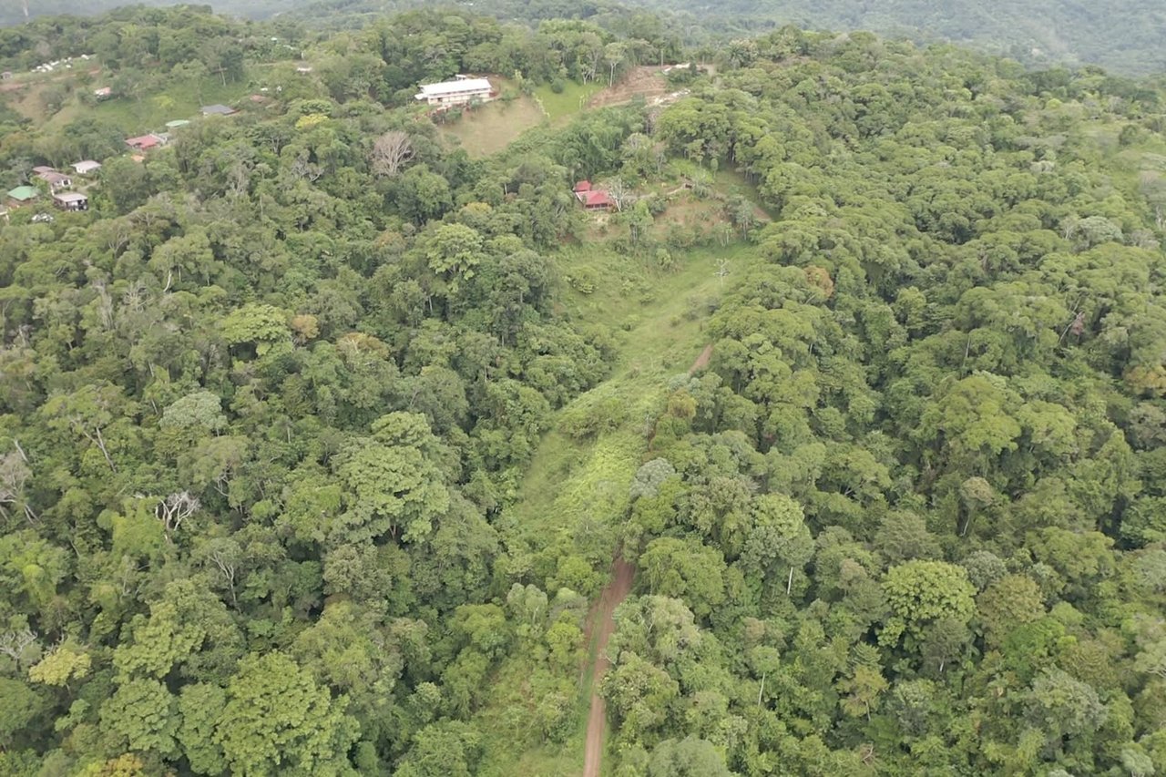 7.6 Acres Calle Camaron Platanillo