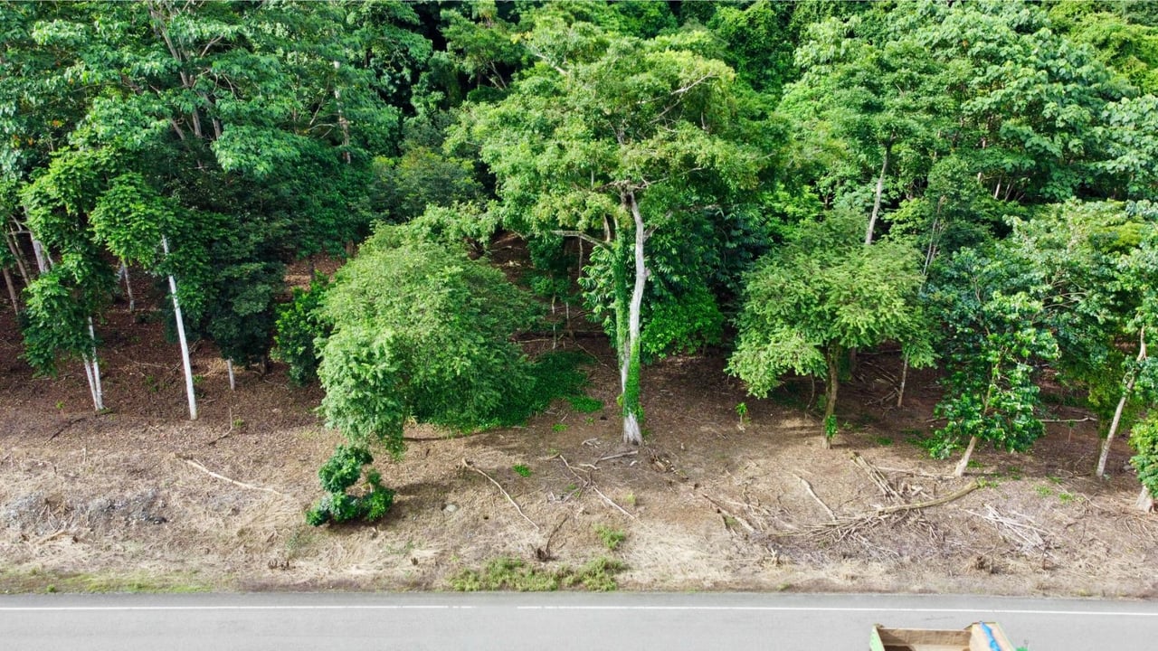 Flat Commercial Development Lot, Osa, Puntarenas
