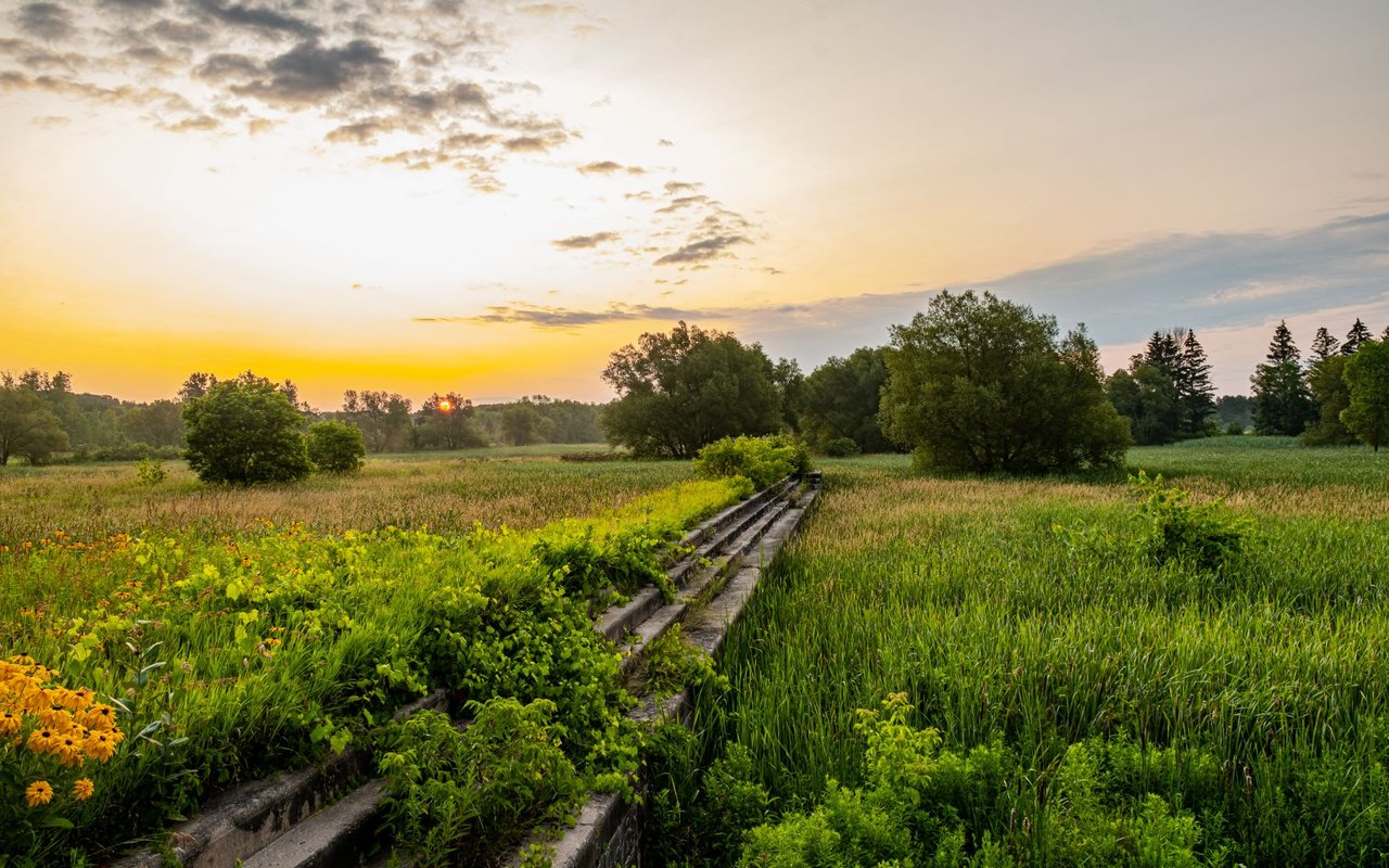 East Gwillimbury