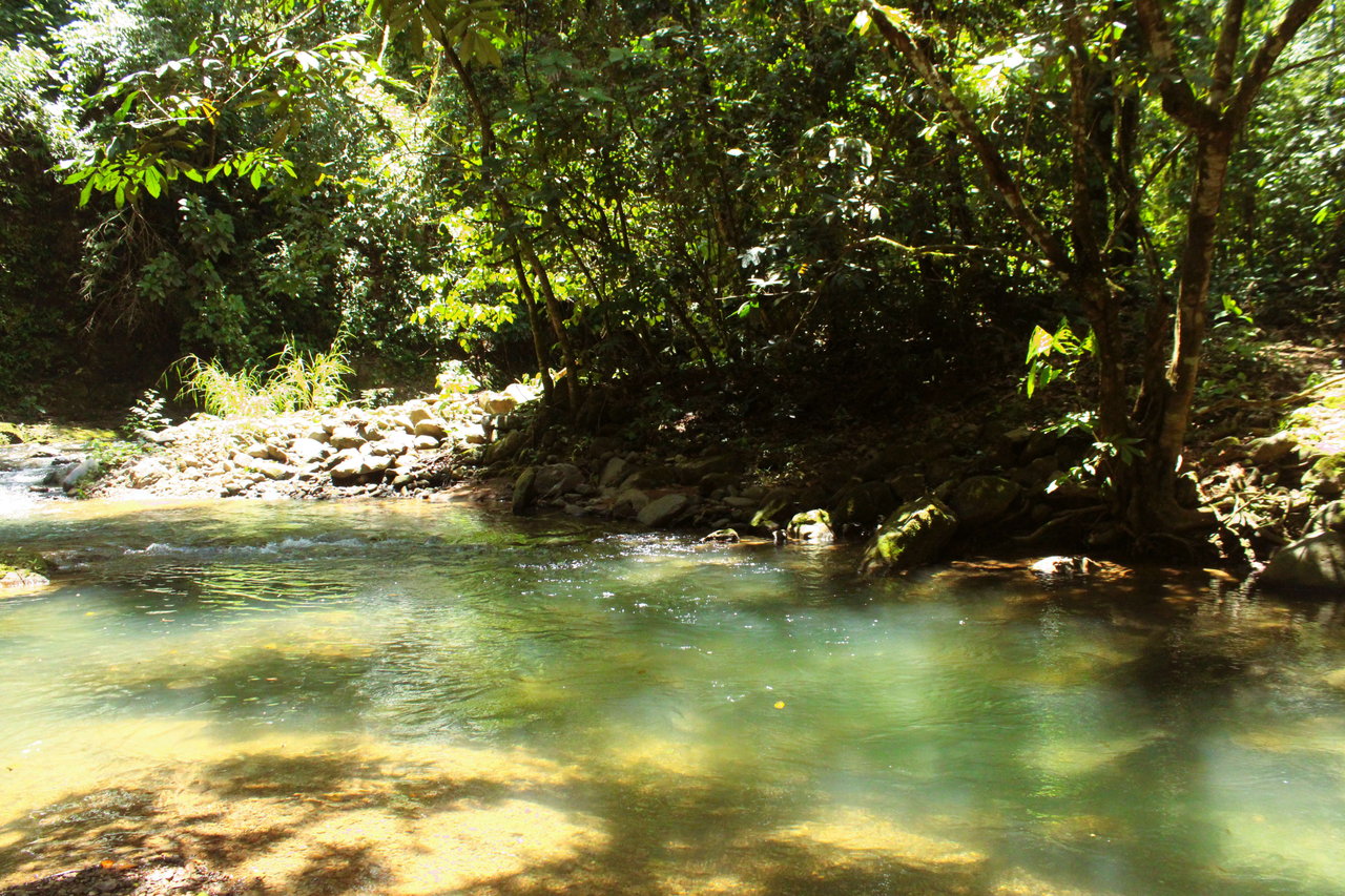 Wildlife Reserve Farm close to Ojochal