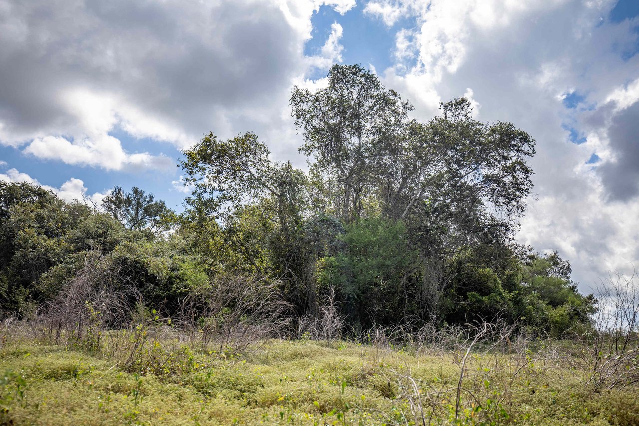 Lovers Lane River Ranch | 140± Acres | DeWitt County