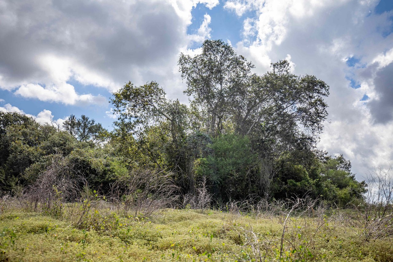 Lovers Lane River Ranch | 140 +/- Acres | Call for Pricing