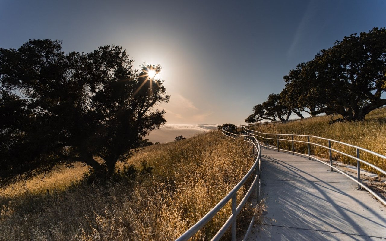 Palo Alto