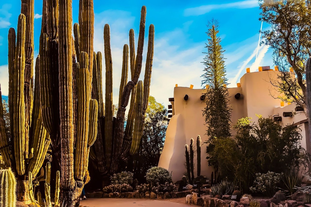 Things to do in Scottsdale
