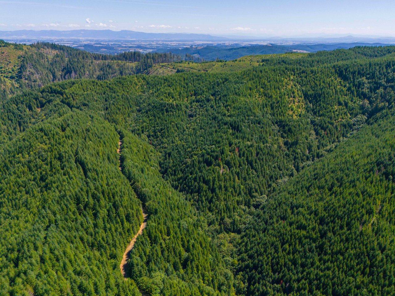 High Pass Tree Farm