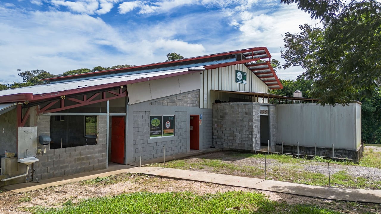 Industrial Plant for Sale in Pérez Zeledón, Costa Rica | 