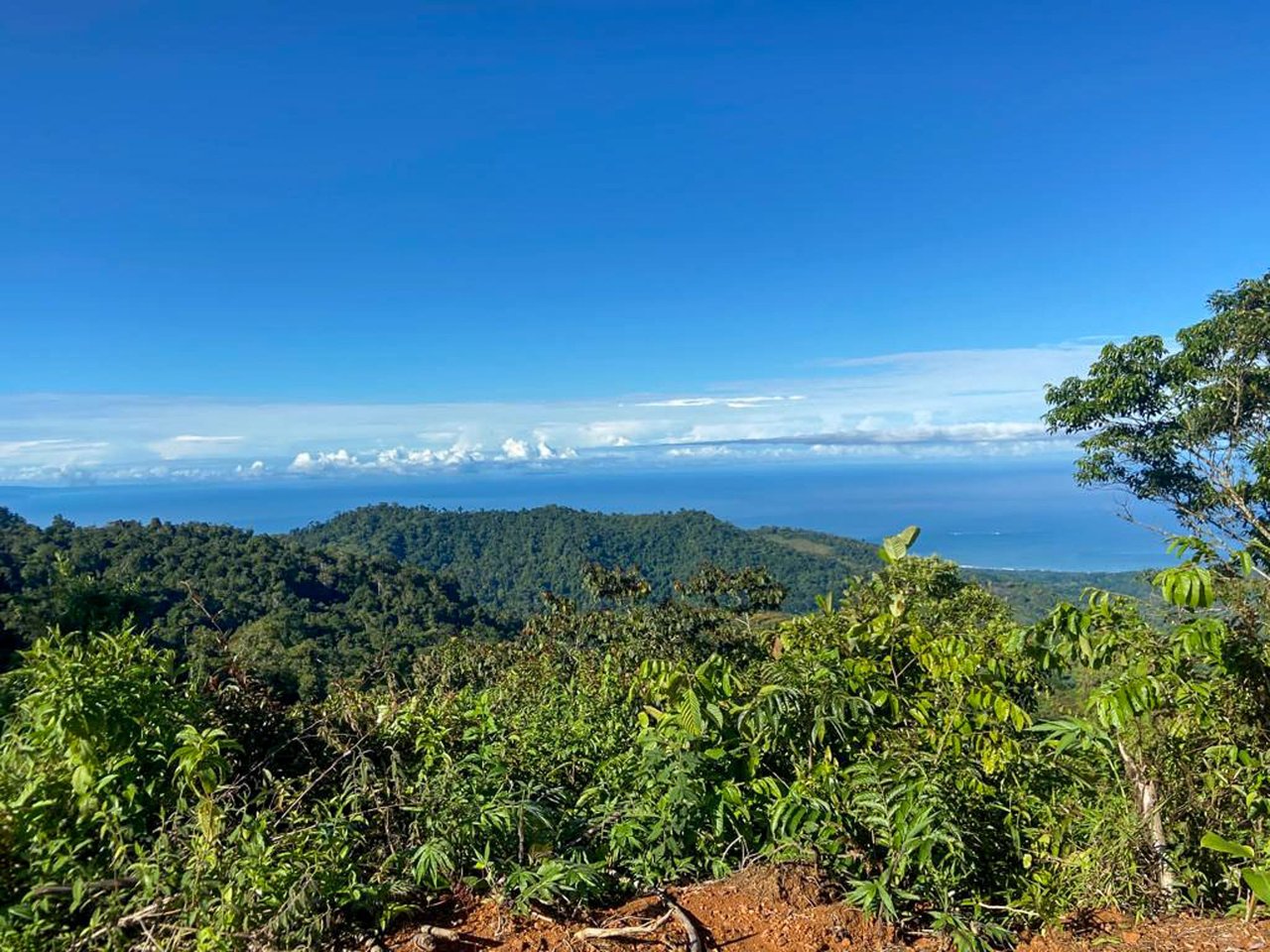 Ocean, Mountain and waterfall View Lot