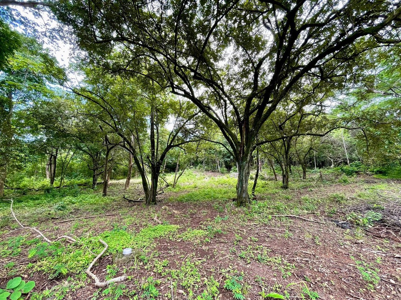 Private Tropical Building Lot, Tamarindo, Guanacaste