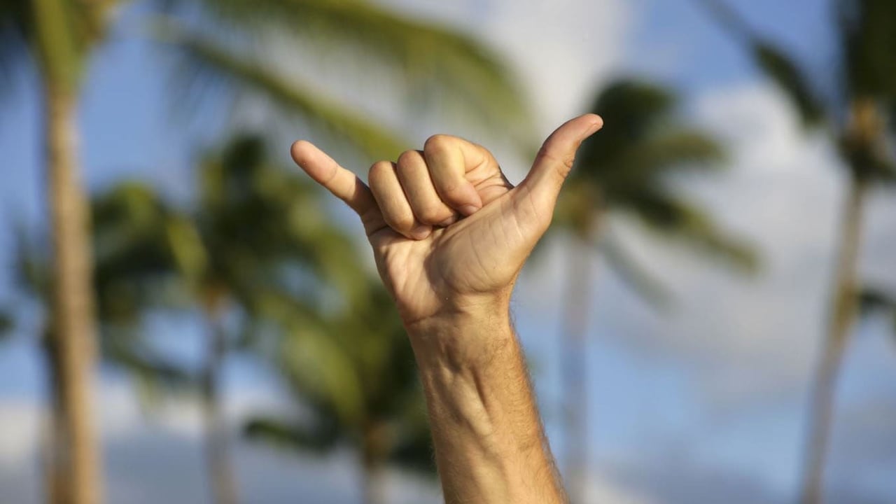 Shaka Sign