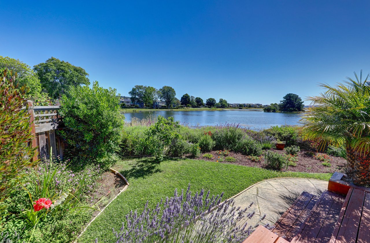 Vacation at Home on the Marin Bayshore